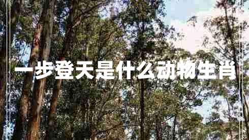 一步登天是什么動物生肖