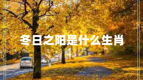 冬日之陽是什么生肖