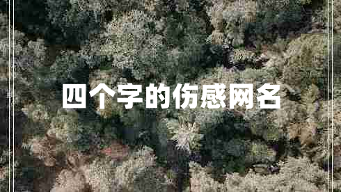 四個字的傷感網(wǎng)名