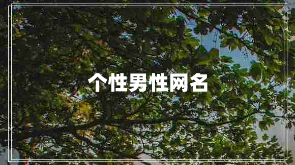個性男性網名