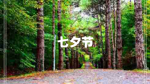 七夕節(jié) 七夕節(jié)