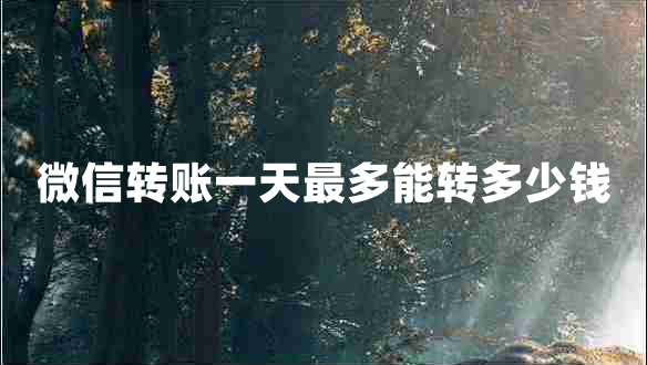 微信轉(zhuǎn)賬一天最多能轉(zhuǎn)多少錢 微信轉(zhuǎn)賬一天最多能轉(zhuǎn)多少錢