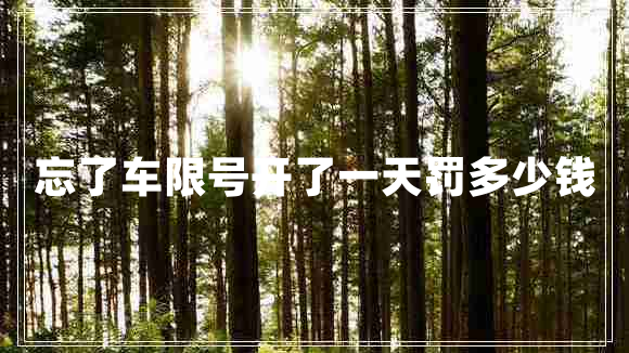 忘了車限號(hào)開了一天罰多少錢