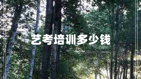 藝考培訓多少錢