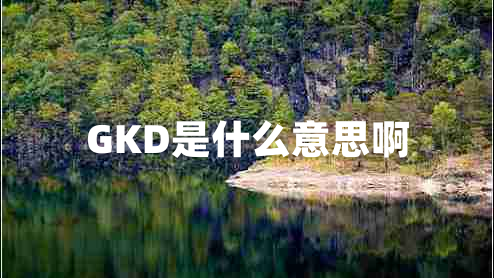 GKD是什么意思啊 GKD是什么意思啊