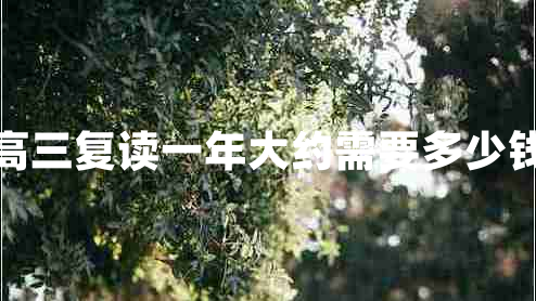 高三復(fù)讀一年大約需要多少錢