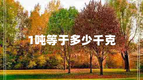 1噸等于多少千克