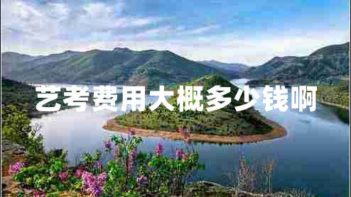 藝考費用大概多少錢啊