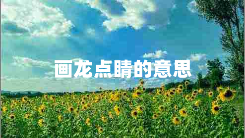 畫龍點(diǎn)睛的意思