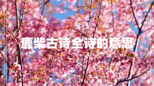 鹿柴古詩(shī)全詩(shī)的意思