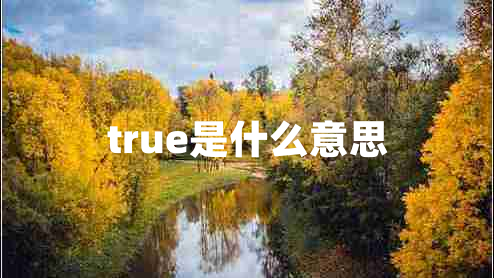 true是什么意思 true是什么意思