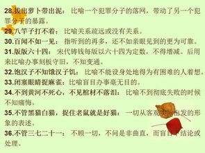 典故,詞語,四字,歷史