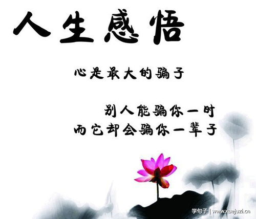 人生感悟經典故事