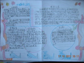 典故,成語,手抄報