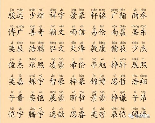 典故詩詞取名男孩