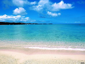 海闊天空的典故50字,退一步海闊天空典故,退一步海闊天空出自典故