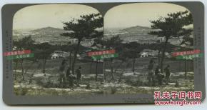 清朝時期的山東地圖,清朝時期的山東的滿族人,清朝時期山東分幾個府