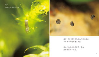 關(guān)于生命的典故,關(guān)于生命的典故簡,關(guān)于生命的典故50字