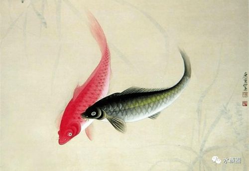 漁魚典故