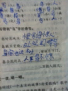 賈島的詩(shī)僧敲月下門典故,鳥(niǎo)宿池邊樹(shù)僧敲月下門典故,賈島僧敲月下門的典故