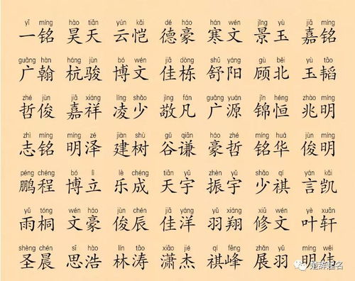 典故,取名,詩詞,男孩