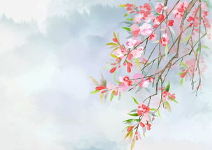 與海棠有關(guān)的典故,海棠泣血的典故,大魚海棠的典故