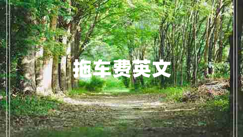拖車(chē)費(fèi)英文