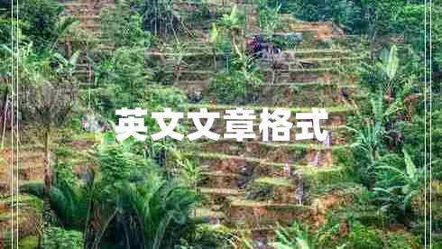 英文文章格式