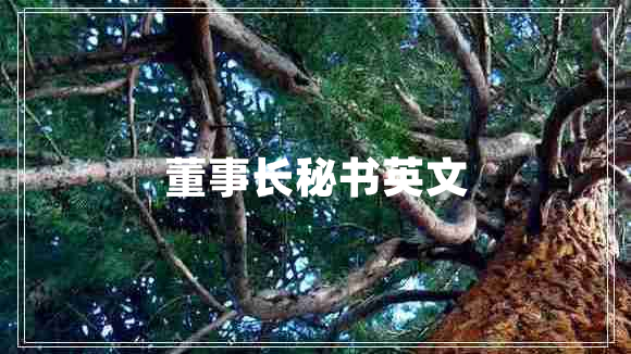 董事長(zhǎng)秘書(shū)英文