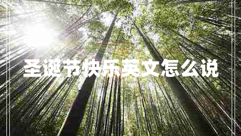 圣誕節(jié)快樂英文怎么說(shuō)