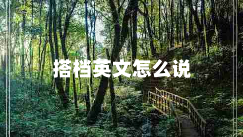 搭檔英文怎么說