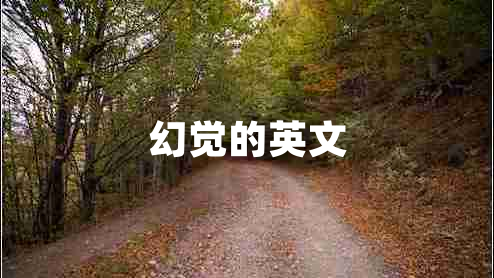 幻覺的英文