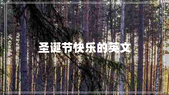 圣誕節(jié)快樂(lè)的英文