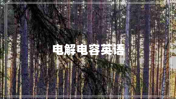 電解電容英語