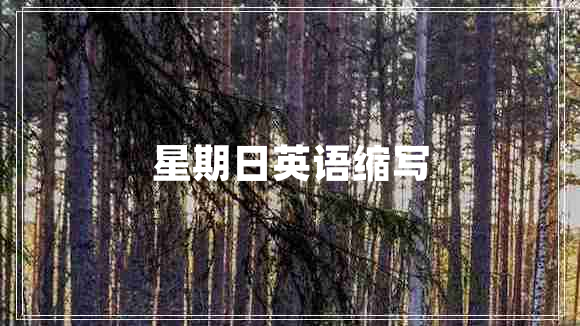 星期日英語(yǔ)縮寫
