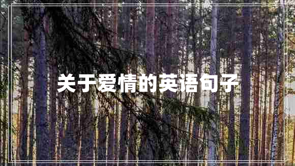 關于愛情的英語句子