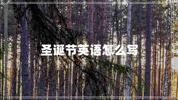 圣誕節(jié)英語(yǔ)怎么寫(xiě)