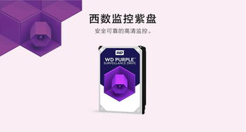 ?？低暻来髸?huì)策劃方案