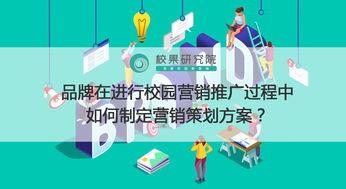 學校網(wǎng)絡營銷策劃與方案編制