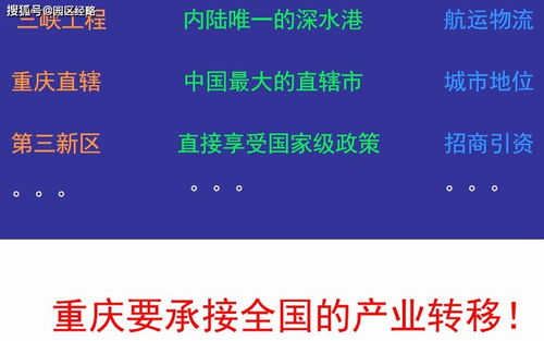 死飛固齒在新鄉(xiāng)市場(chǎng)的營(yíng)銷策劃方案總結(jié)