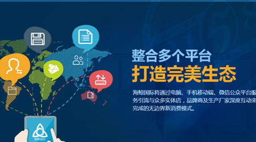 國際營銷調(diào)研策劃方案