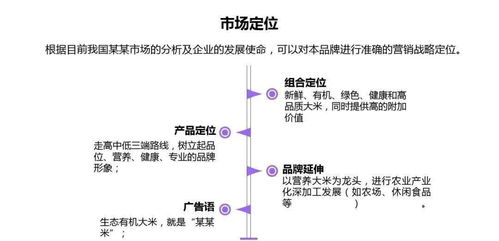 成都天樂城北項(xiàng)目營銷策劃方案