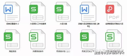 天貓經(jīng)營策劃方案