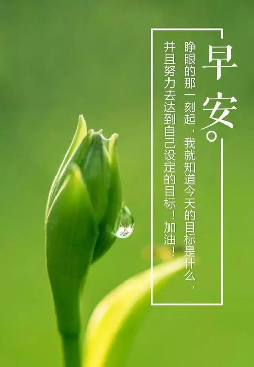 勵(lì)志早安心語正能量句子簡短