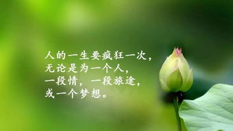 短語,句子,能量,心情