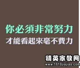 職場氛圍正能量的句子