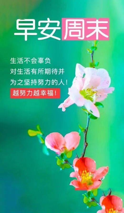 句子,心語,早餐,能量