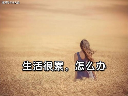 送給朋友的正能量的好句子