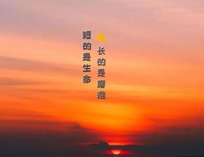 女人陽光自信的句子正能量,陽光正能量的句子,生活陽光正能量的句子