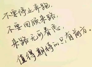 句子,能量,買花